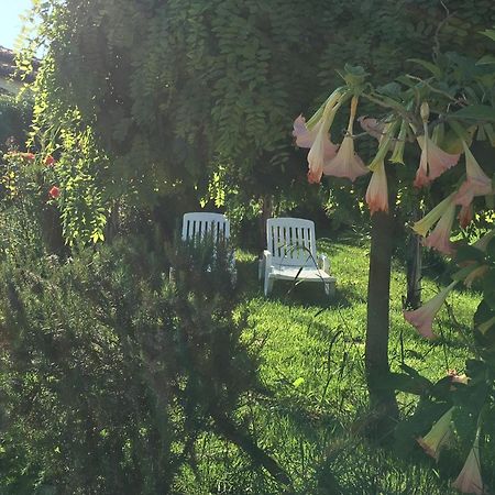 B&B A Casa Di Picci ซานตาโดเมนิกา ภายนอก รูปภาพ