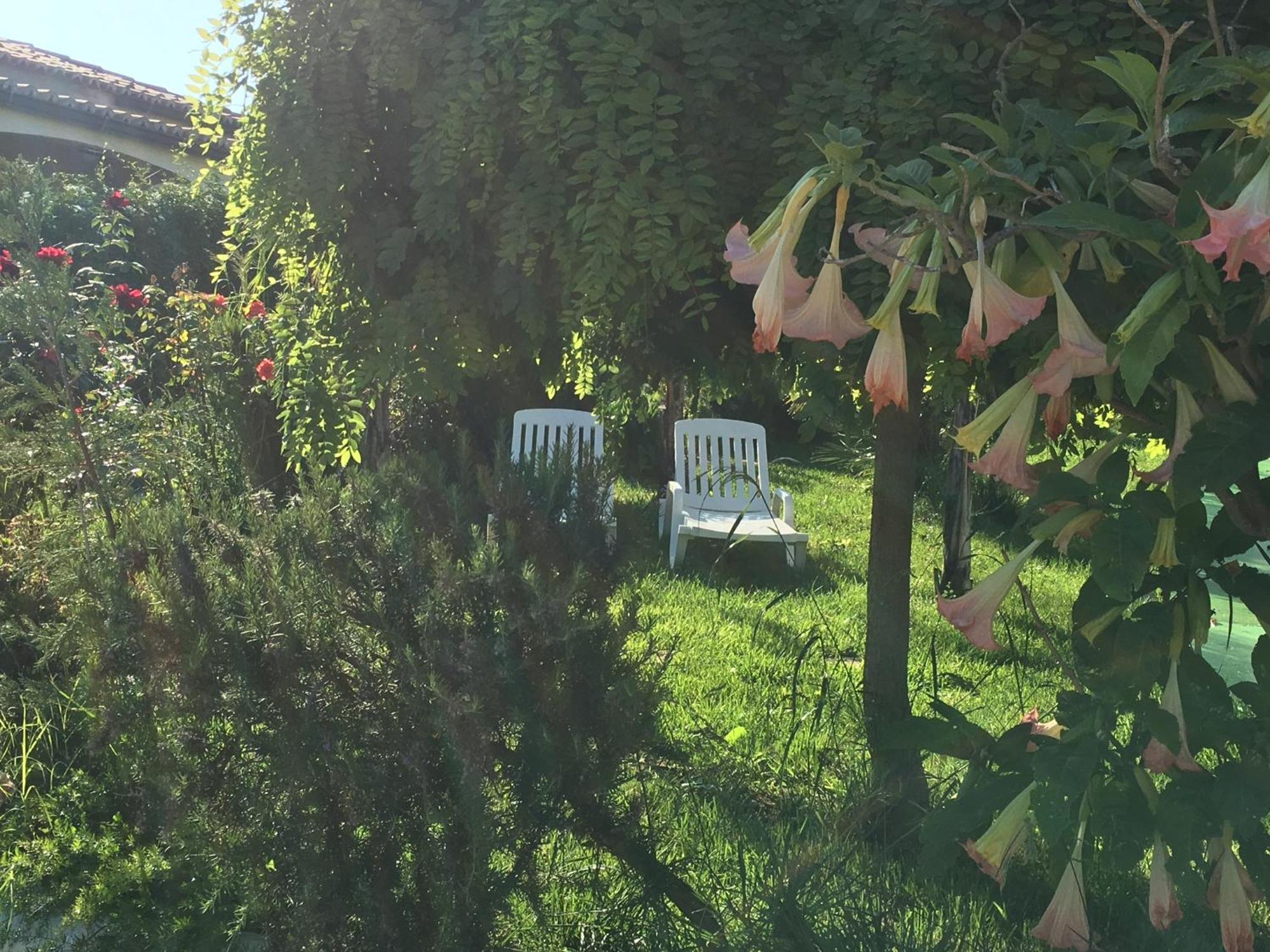 B&B A Casa Di Picci ซานตาโดเมนิกา ภายนอก รูปภาพ