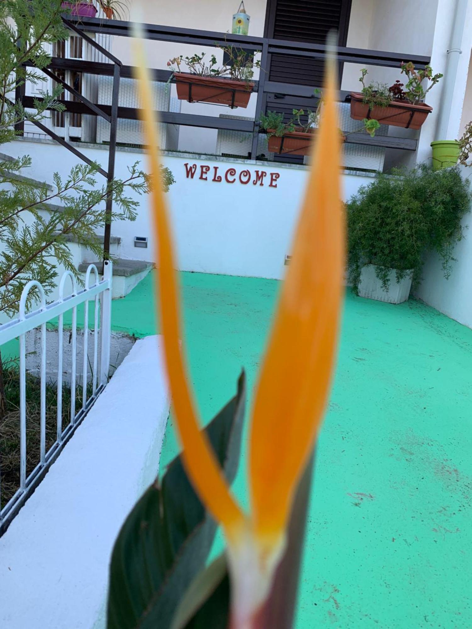 B&B A Casa Di Picci ซานตาโดเมนิกา ภายนอก รูปภาพ