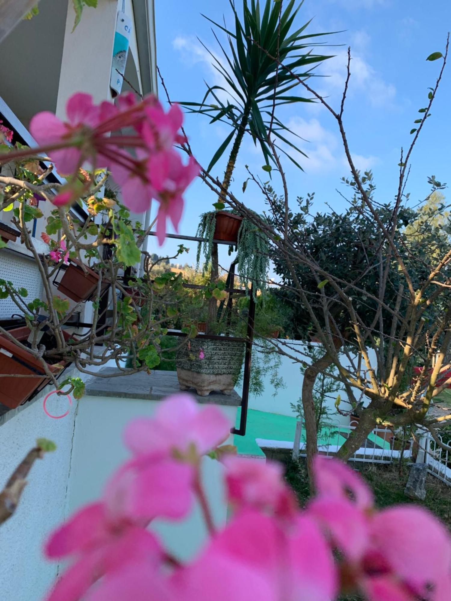 B&B A Casa Di Picci ซานตาโดเมนิกา ภายนอก รูปภาพ