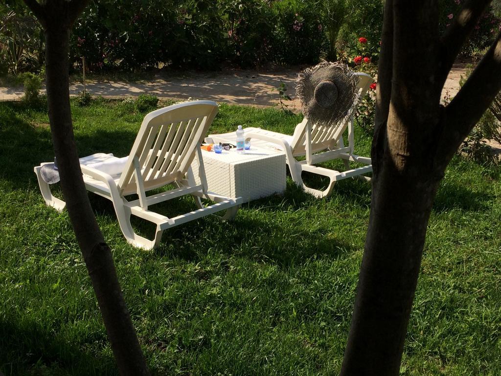 B&B A Casa Di Picci ซานตาโดเมนิกา ภายนอก รูปภาพ